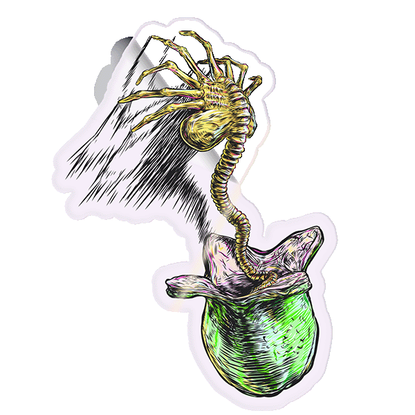 Face Hugger Alien Sticker-Clear